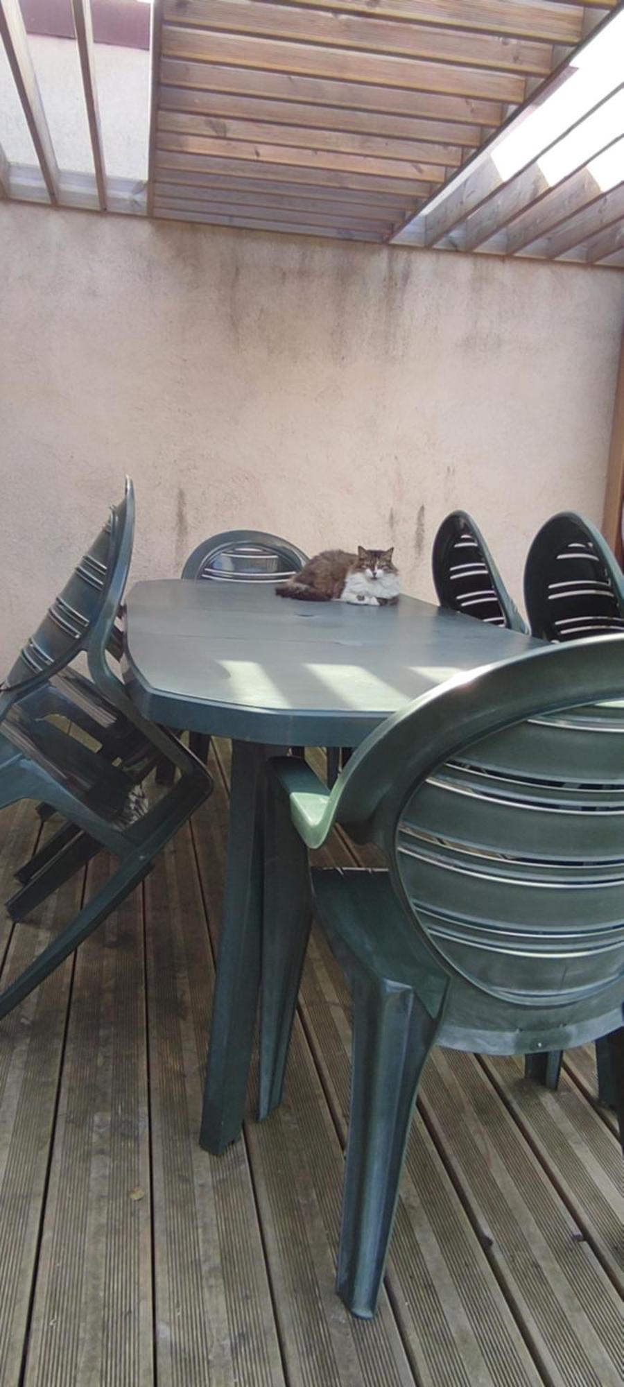 Berck Maison De Vacances Avec Terrasse Et Jardin, エクステリア 写真